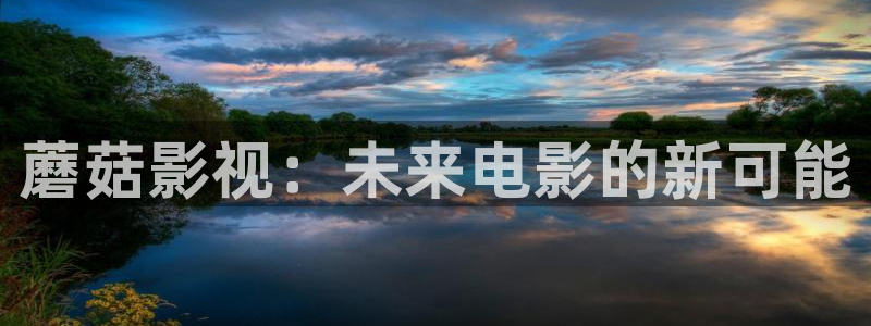 未来影院飘零：蘑菇影视：未来电影的新可能
