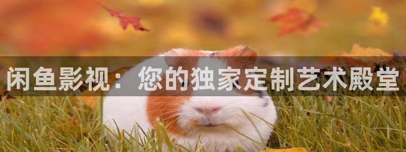 飘零影院免费在线看剧：闲鱼影视：您的独家定制艺术殿堂