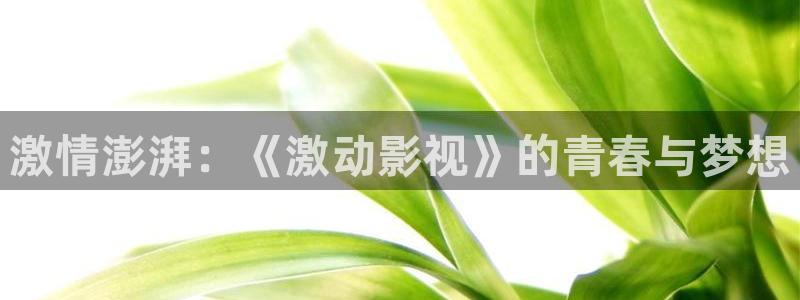 飘零在线电影：激情澎湃：《激动影视》的青春与梦想