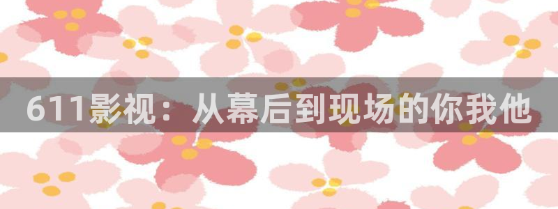 飘零电影院理论片：611影视：从幕后到现场的你我他