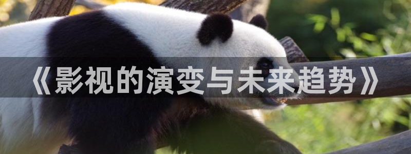 飘零影院八戒电影网：《影视的演变与未来趋势》