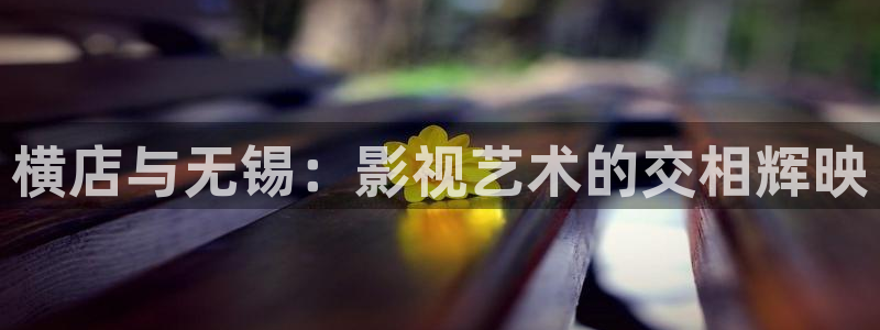 pl2020飘零影院：横店与无锡：影视艺术的交相辉映