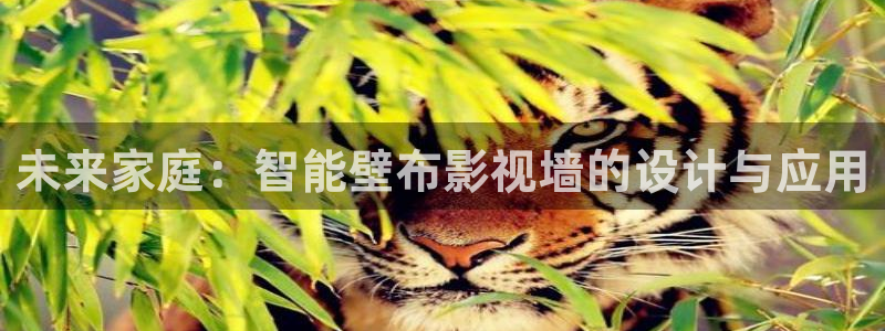 飘零电影完整版在线观看：未来家庭：智能壁布影视墙的设计与应用