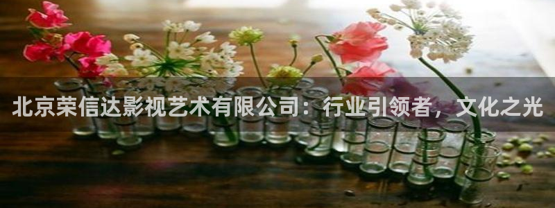 飘零影院在线：北京荣信达影视艺术有限公司：行业引领者，文化之光